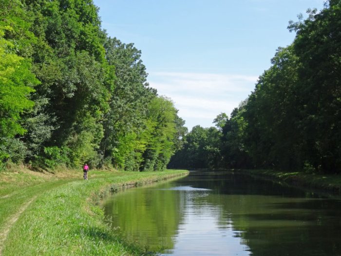 Deuxième lieu en lien avec les forêts, parcs & jardins : une photo de la randonnée de Moret à Montigny.