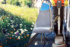 Aperçu d'une prairie fleurie et du nettoyage effectué à bord d'un train pour illustrer la semaine de l'environnement 2024 sur la ligne R.