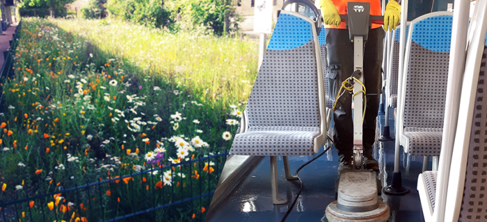 Aperçu d'une prairie fleurie et du nettoyage effectué à bord d'un train pour illustrer la semaine de l'environnement 2024 sur la ligne R.