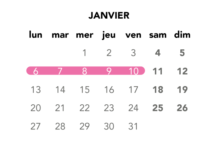 Image du calendrier du mois de janvier pour les travaux de journée en semaine.