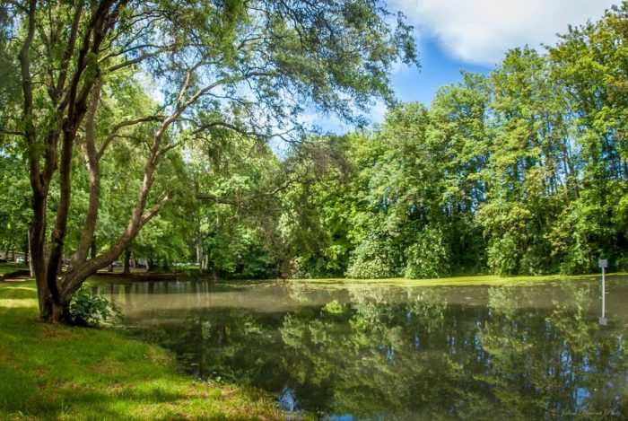 Parcs et jardins : photo du Parc Debreuil.
